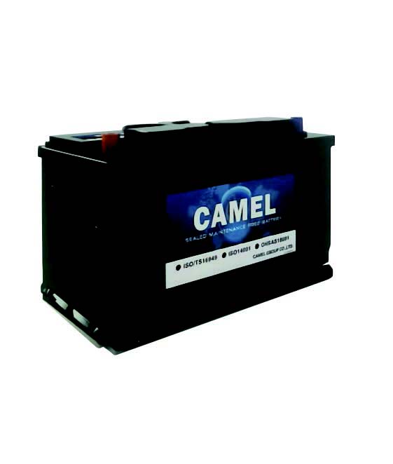 Automotive Starter Battery 启动电瓶